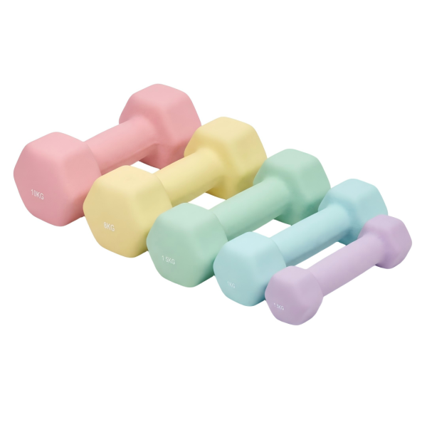 Hex Dumbbells (Cast Iron Inside & PVC Coated)