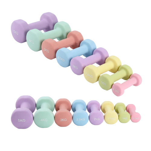 Round Dumbbells (Cast Iron Inside & PVC Coated)