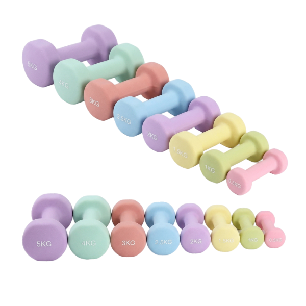 Round Dumbbells (Cast Iron Inside & PVC Coated)